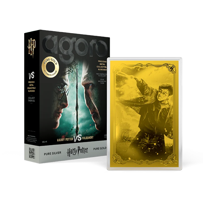 Agoro Harry Potter VS Voldemort Blind Box packaging and collectible